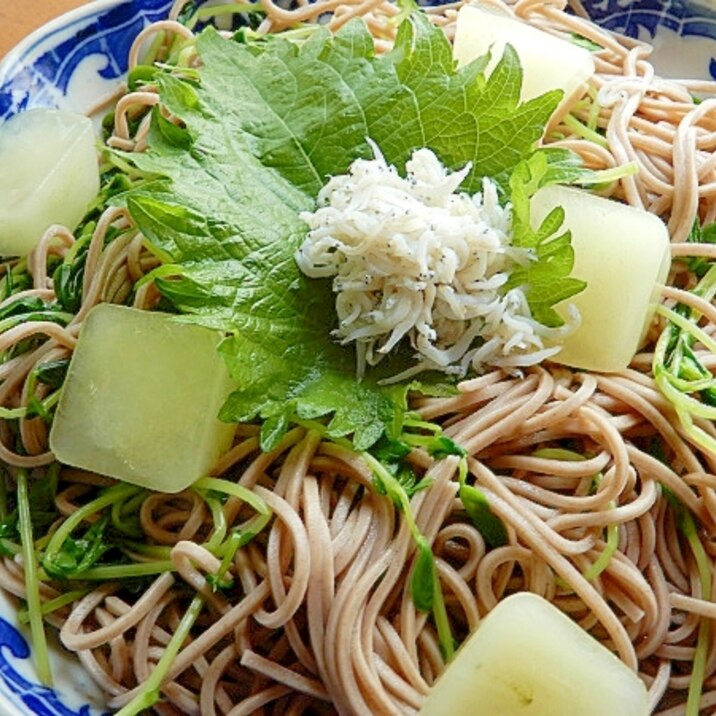 ＋緑茶の氷で❤豆苗ぶっかけ蕎麦♪（しらす＆大葉）